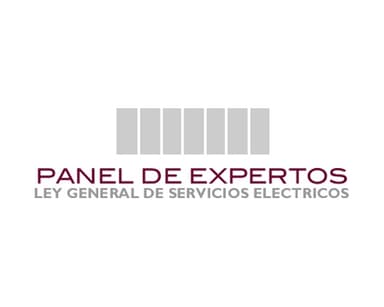 Panel de Expertos